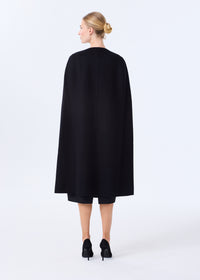 The Long Cape